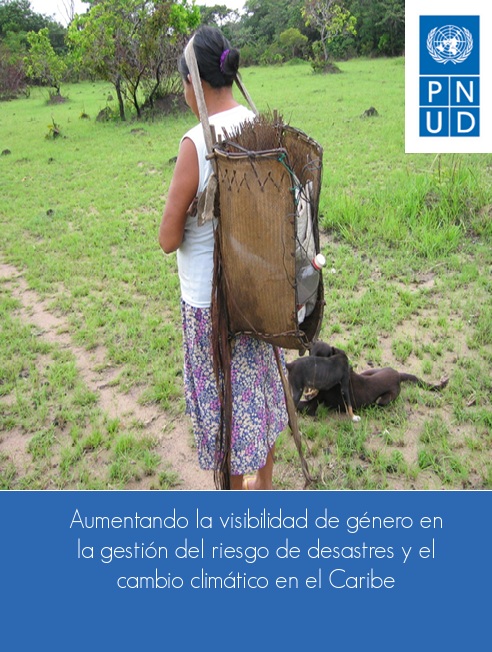 Aumentando la visibilidad de género en la gestión del riesgo de desastres y el cambio climático en el Caribe