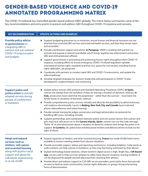Gender-based violence and COVID-19 Annotated Programming Matrix