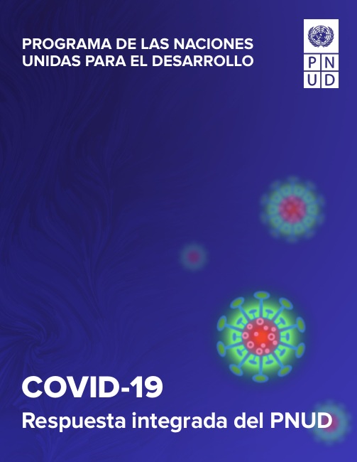 PROGRAMA DE LAS NACIONES UNIDAS PARA EL DESARROLLO