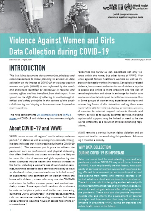 Violence Against Women and Girls Data Collection during COVID-19