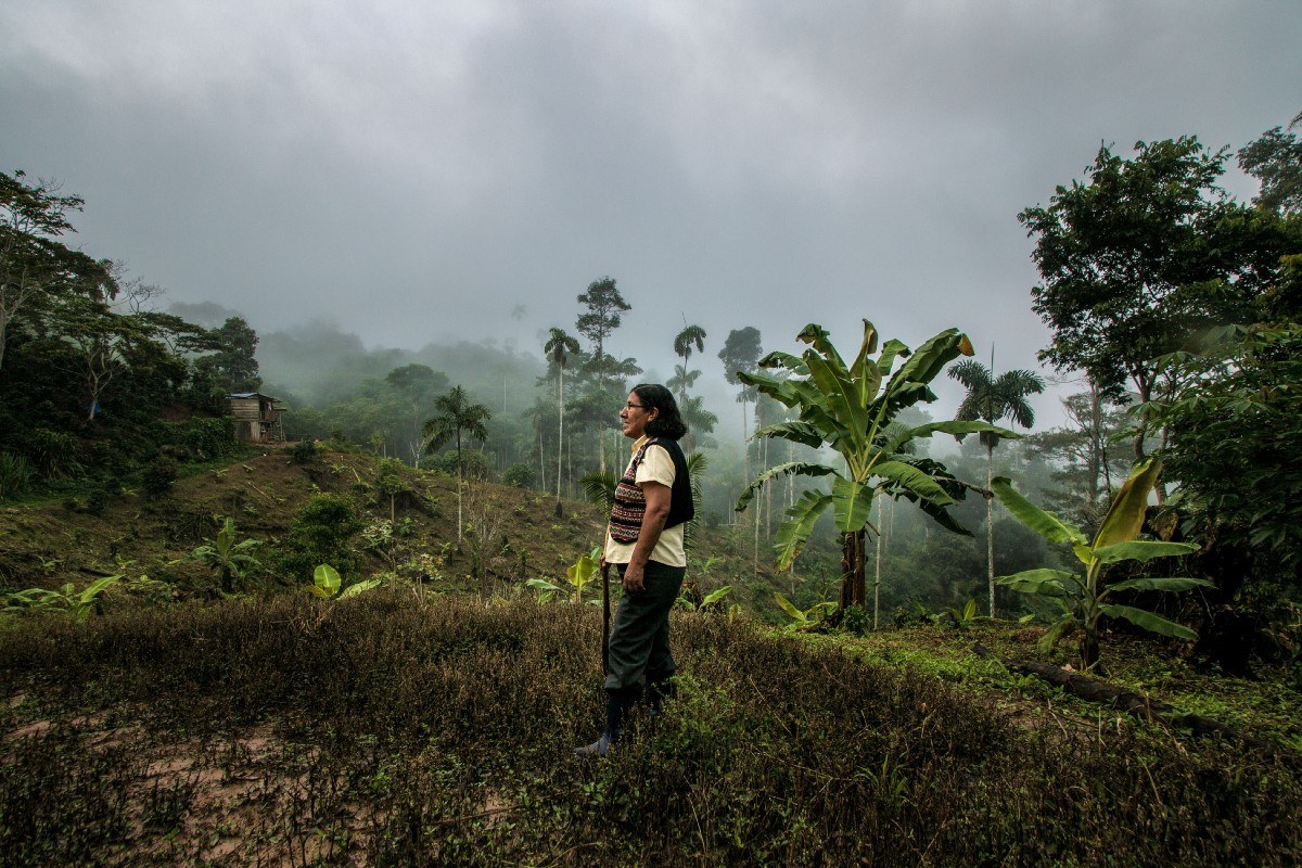 undp_climatechange