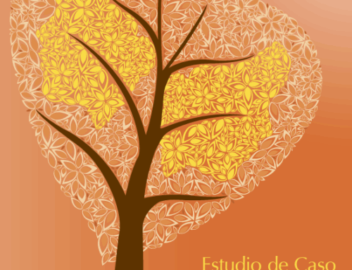 Estudio de caso de Nicaragua. Participacion Politica y Liderazgo de las Mujeres Indigenas