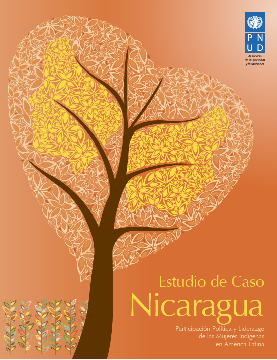 Estudio de caso Nicaragua