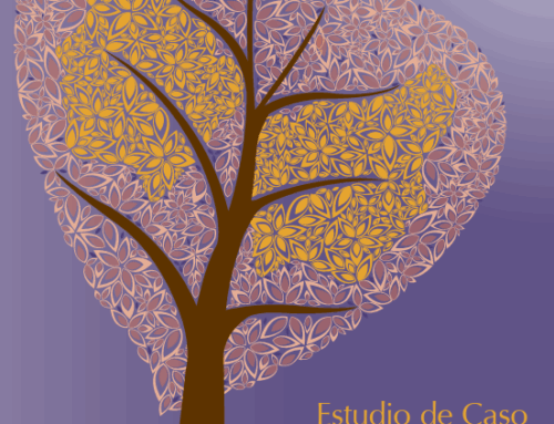Estudio de caso de Peru. Participacion Politica y Liderazgo de las Mujeres Indigenas